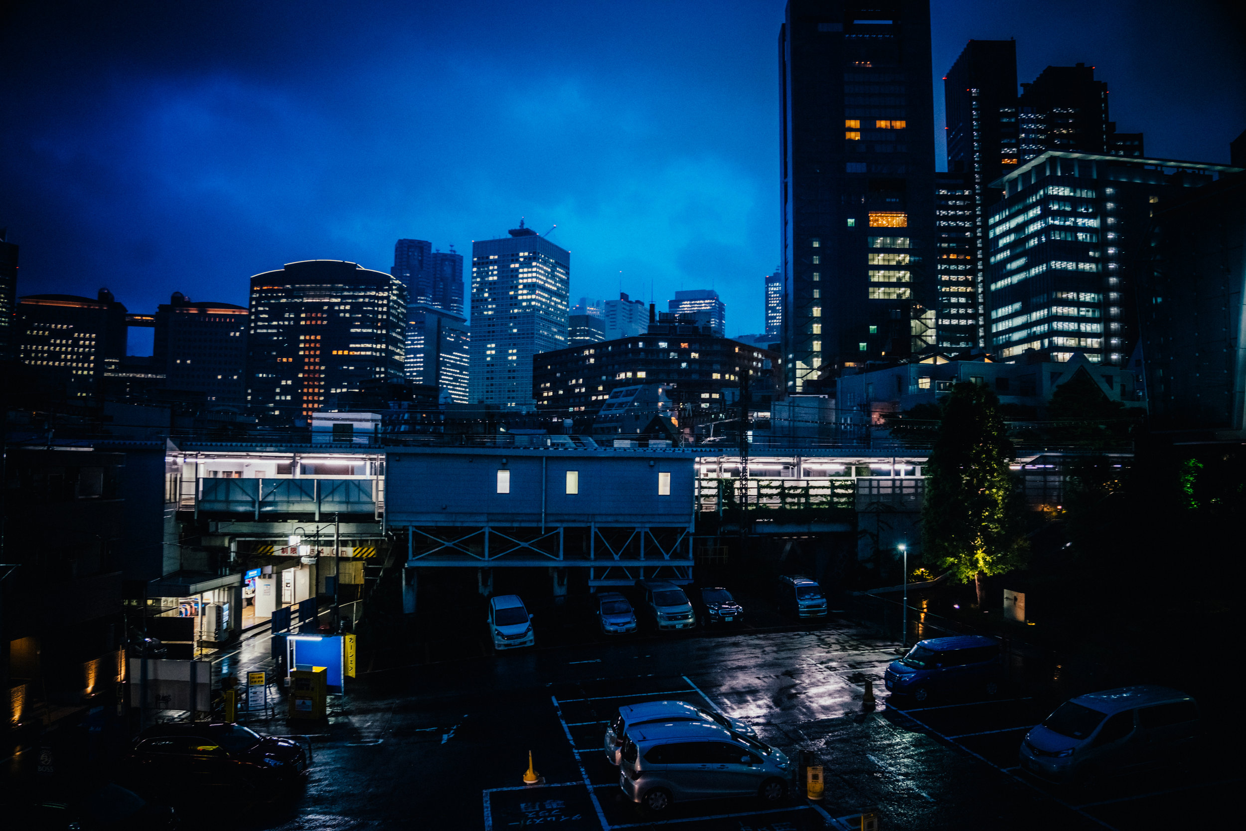DSC00118.jpg