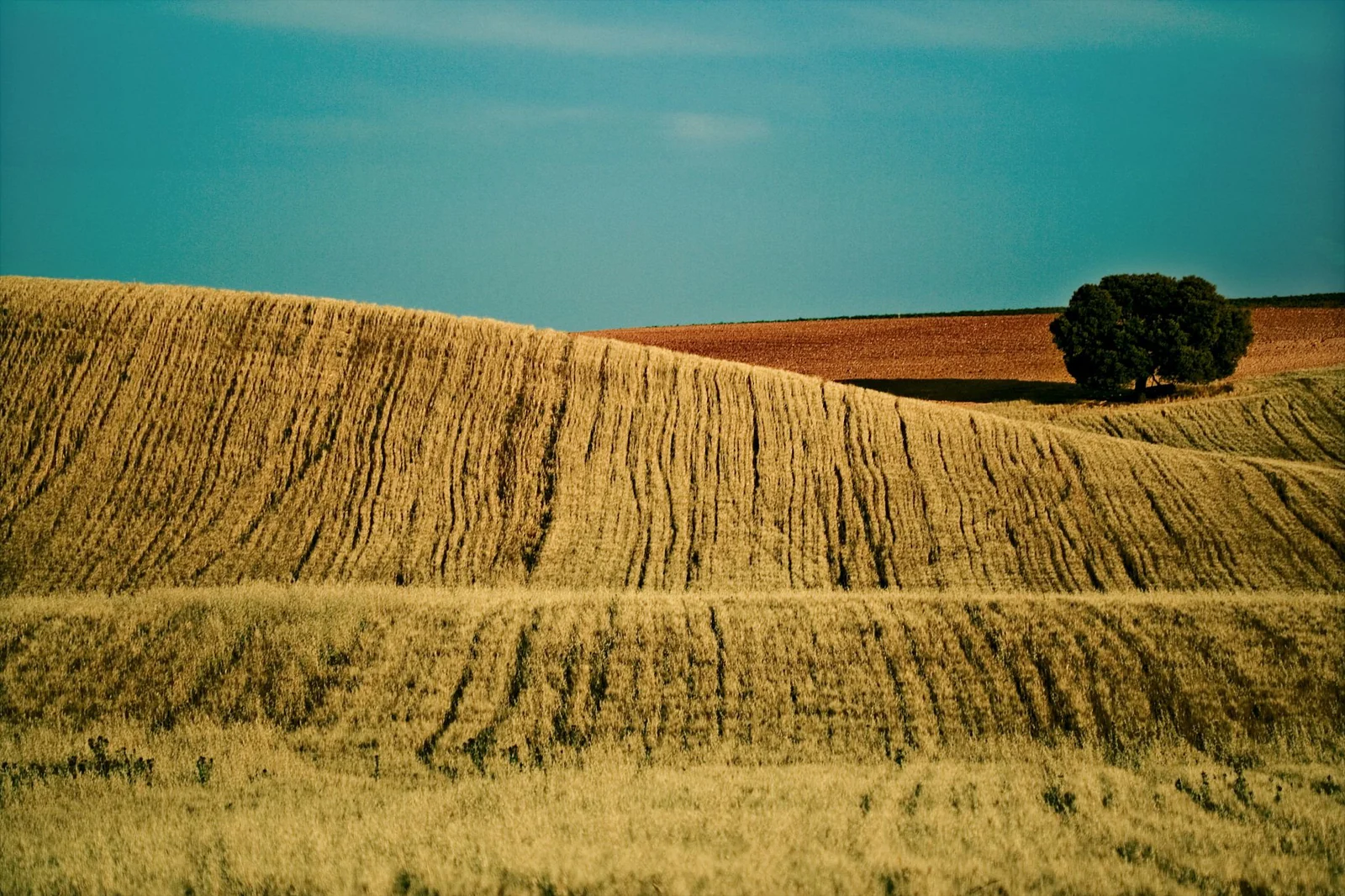 from_flickr_582.jpg