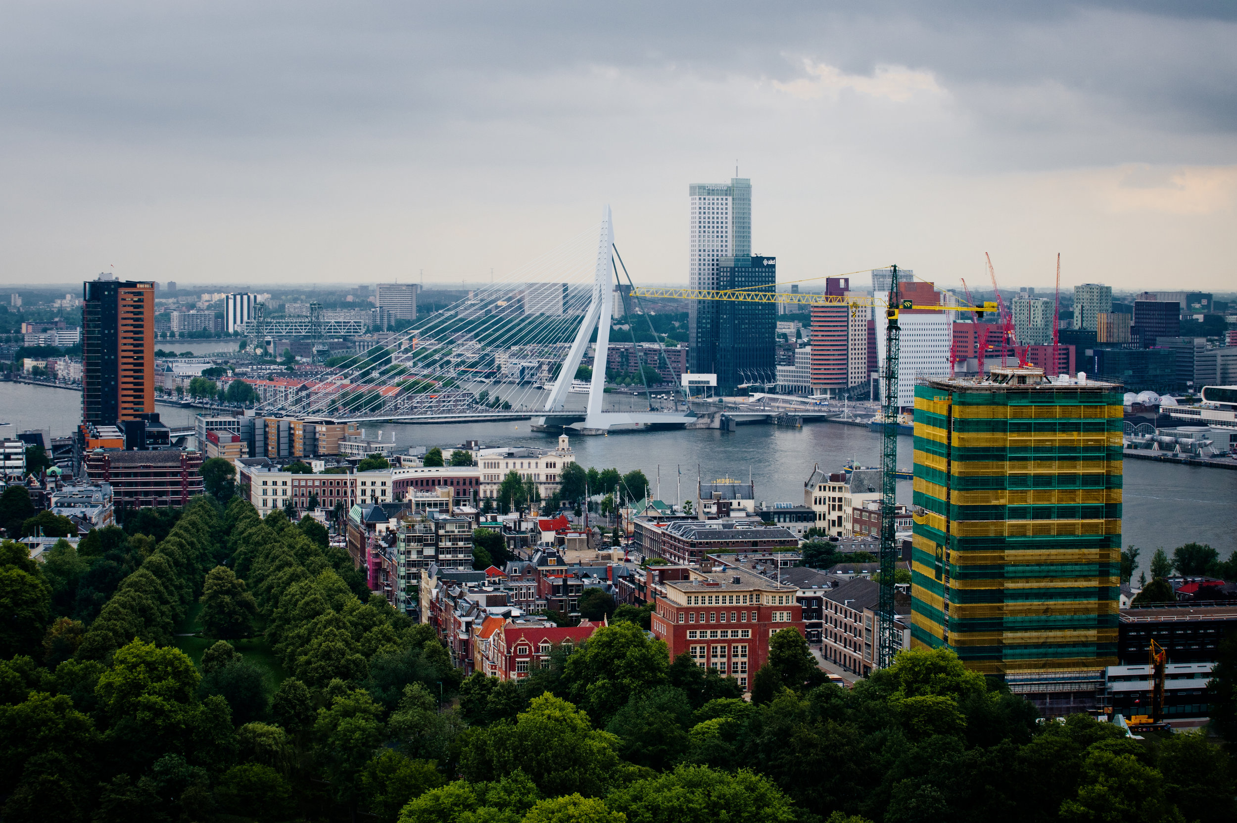 DSC_7362.jpg