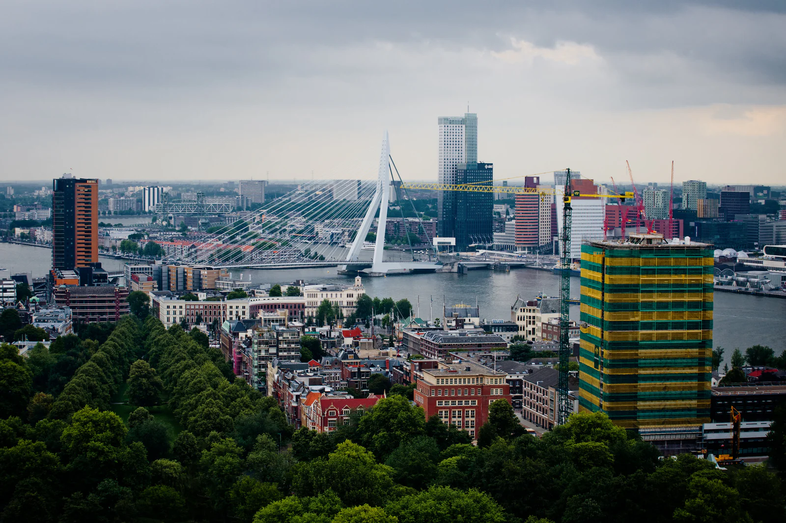 DSC_7362.jpg